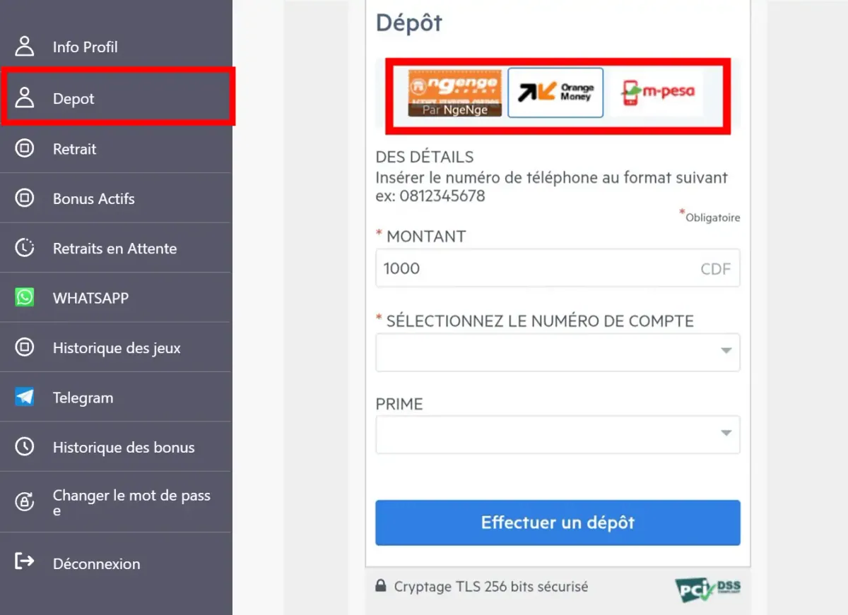 Le formulaire de dépôt